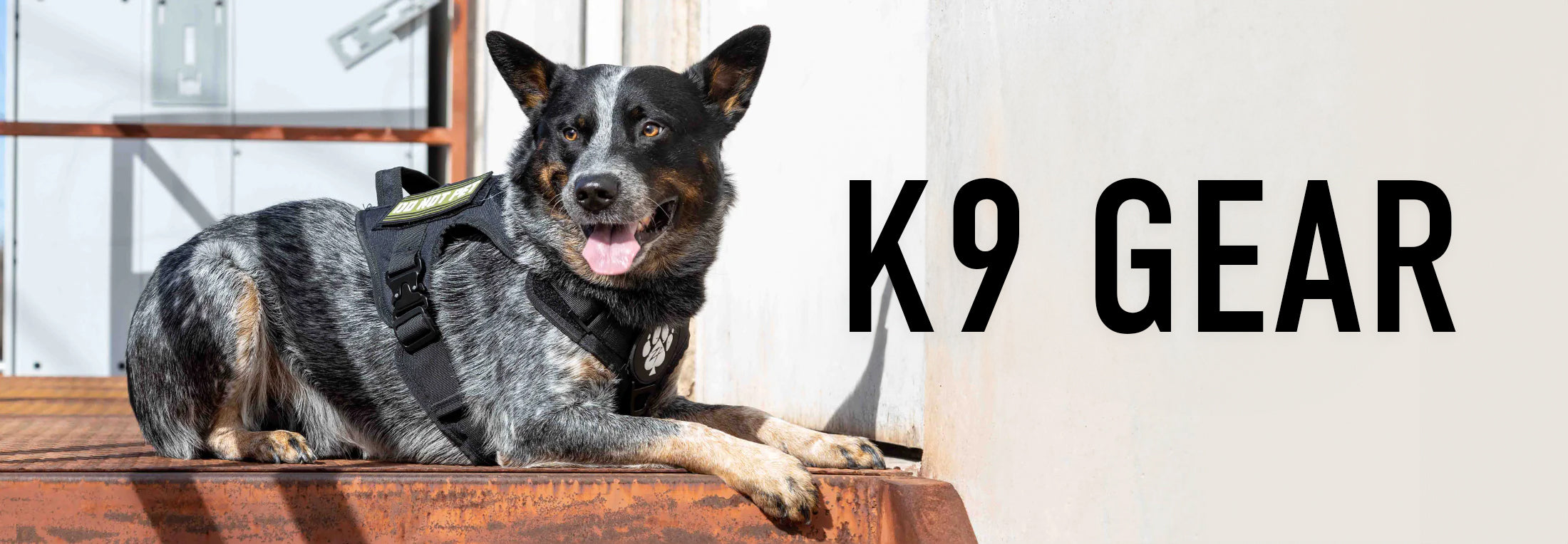 K9 Gear Sale