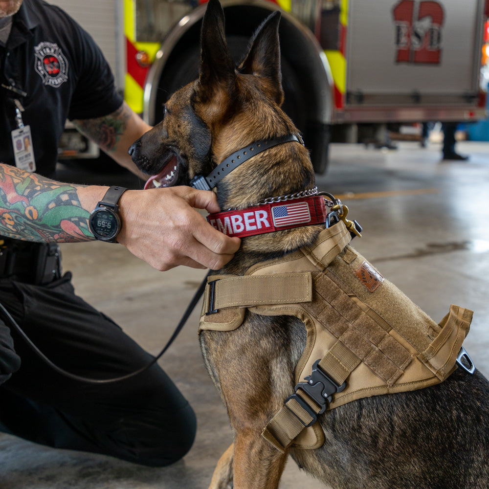 Tactical K9 Harness