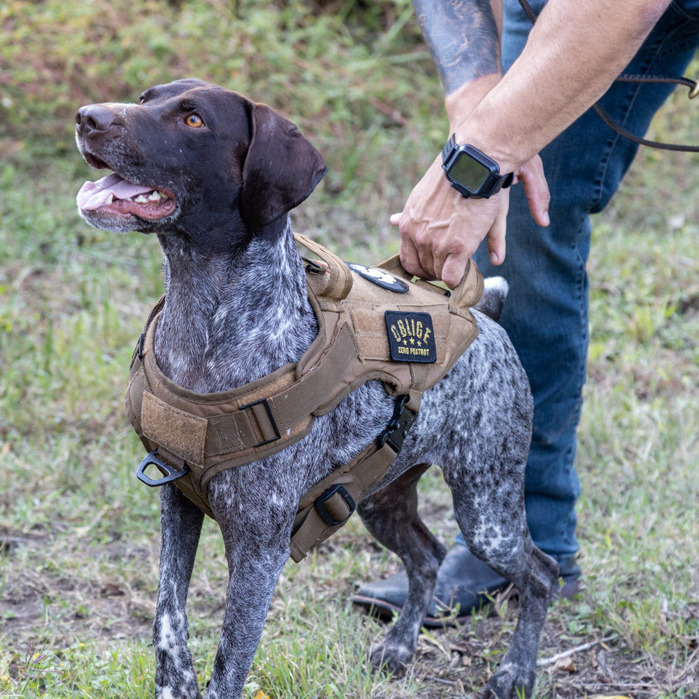 K9 Tac Harness –ZERO FOXTROT