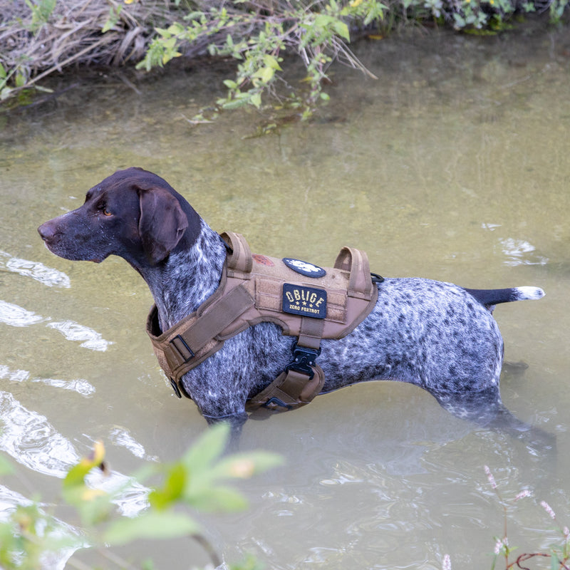 Tactical Dog Gear - Shop K9 Dog Gear