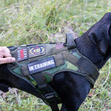 K9 Tac Harness