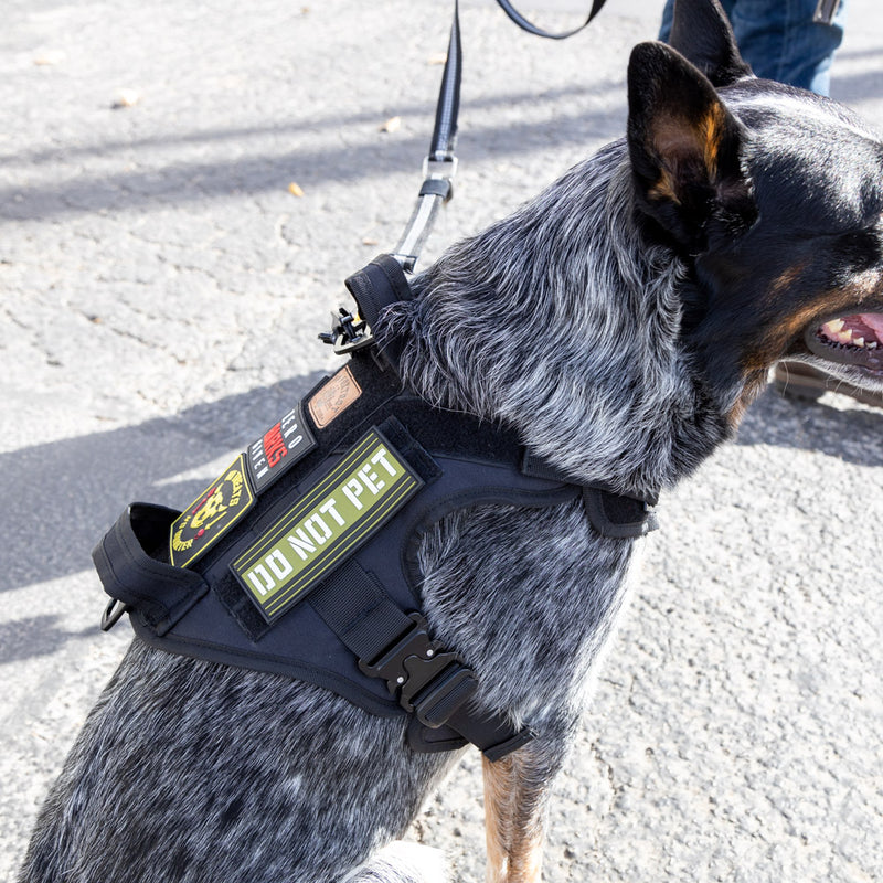 Do Not Pet Patch