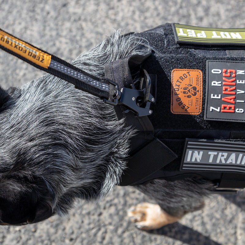 K9 Tac Leash