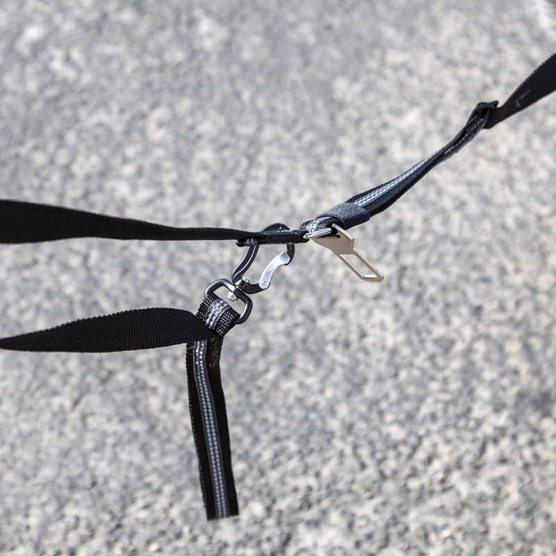 K9 Tac Leash