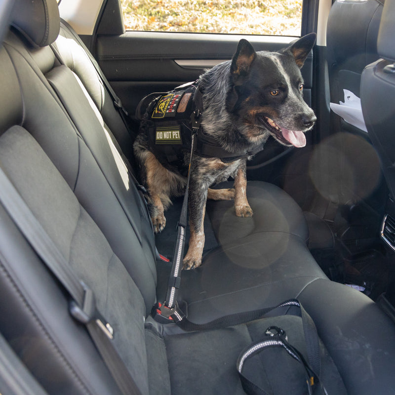 K9 Tac Leash