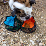 Travel Pet Bowl