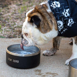 Dog Bowl