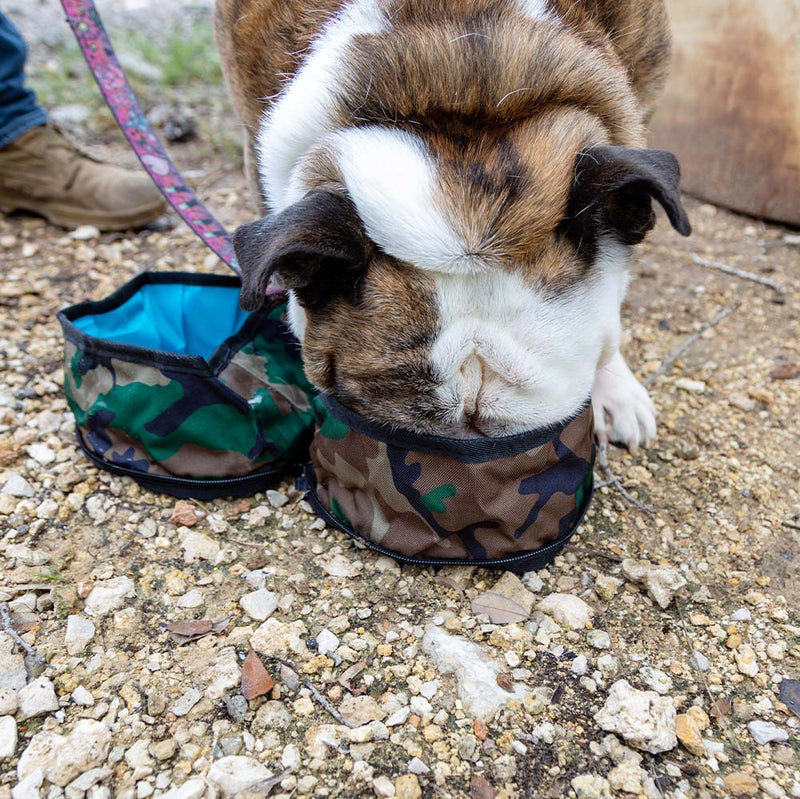 Travel Pet Bowl