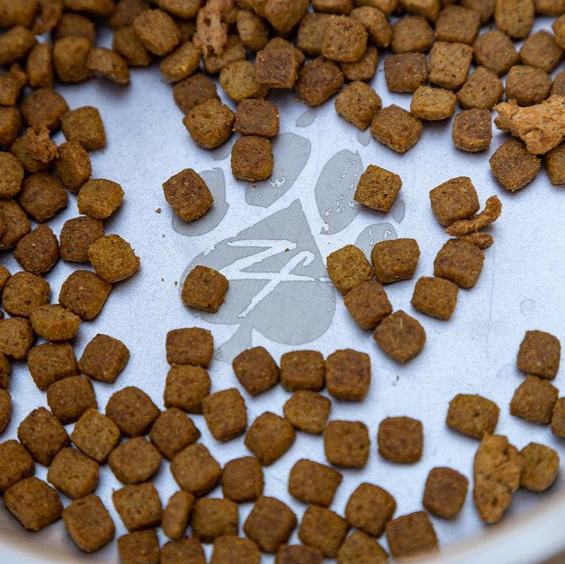 Dog Bowl